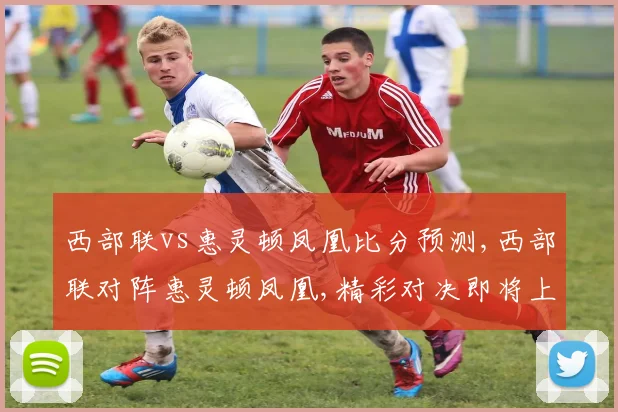 西部联vs惠灵顿凤凰比分预测,西部联对阵惠灵顿凤凰,精彩对决即将上演,悬念重重