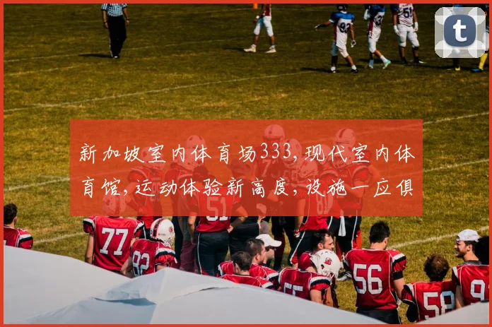 新加坡室内体育场333,现代室内体育馆,运动体验新高度,设施一应俱全