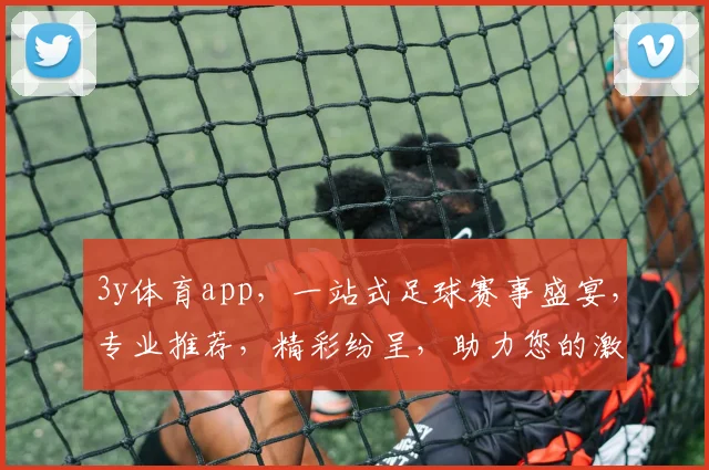 3y体育app，一站式足球赛事盛宴，专业推荐，精彩纷呈，助力您的激情赛事体验