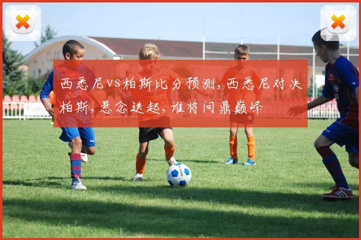 西悉尼vs柏斯比分预测,西悉尼对决柏斯,悬念迭起,谁将问鼎巅峰