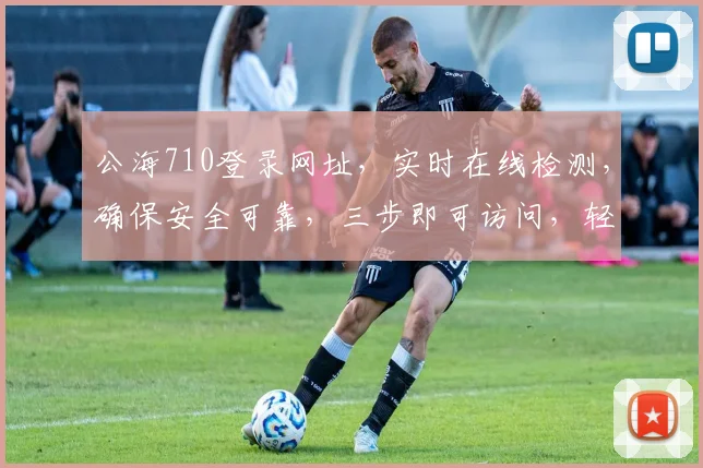 公海710登录网址，实时在线检测，确保安全可靠，三步即可访问，轻松体验